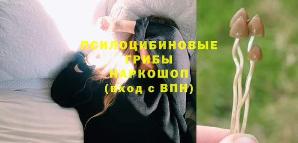 СК Горняк