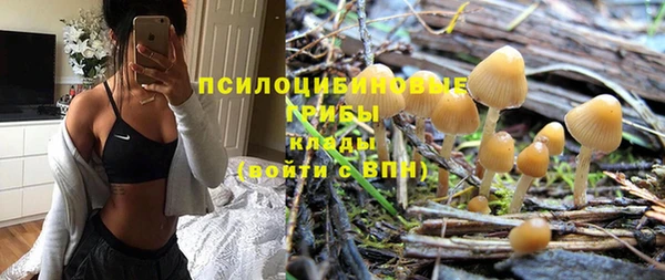 СК Горняк