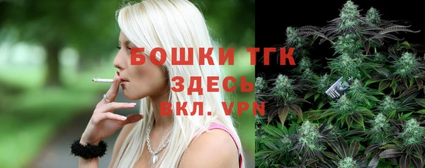 СК Горняк